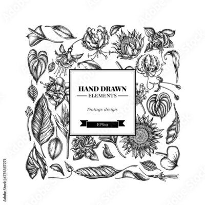 Papier peint  Square floral design with black and white african daisies, fuchsia, gloriosa, king protea, anthurium, strelitzia