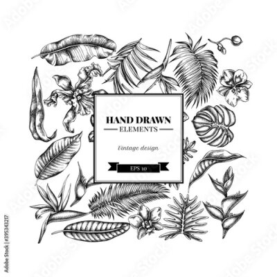 Papier peint  Square floral design with black and white monstera, banana palm leaves, strelitzia, heliconia, tropical palm leaves, orchid