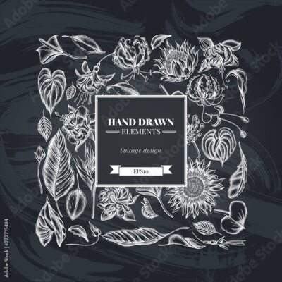 Papier peint  Square floral design with chalk african daisies, fuchsia, gloriosa, king protea, anthurium, strelitzia