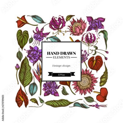 Papier peint  Square floral design with colored african daisies, fuchsia, gloriosa, king protea, anthurium, strelitzia