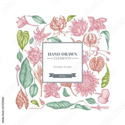 Papier peint  Square floral design with pastel african daisies, fuchsia, gloriosa, king protea, anthurium, strelitzia