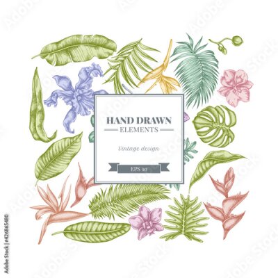 Papier peint  Square floral design with pastel monstera, banana palm leaves, strelitzia, heliconia, tropical palm leaves, orchid