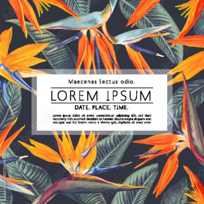 Papier peint  Square template with space for your text, suitable for designing social media posts, gift cards, wedding invitations, cosmetic products, and clothing prints. Tropical botanical design with Strelitzia