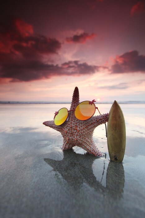 Papier peint  Starfish, surfer, plage