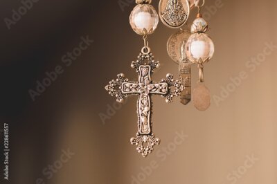 Papier peint  Strelitzia