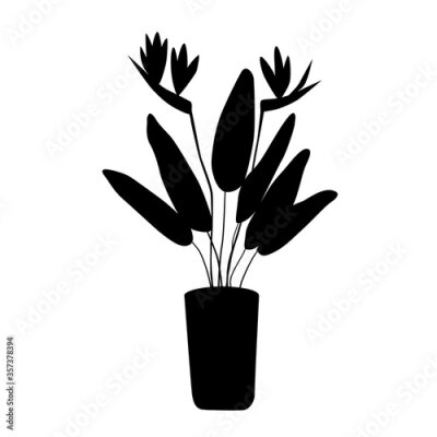 Papier peint  Strelitzia - a large domestic plant in a flower pot. Black silhouette for logo and icon. Home growing - an environmentally friendly hobby. Stock vector illustration isolated on white.