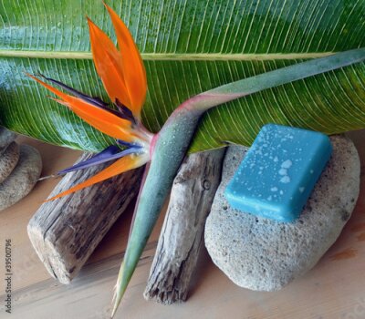 Papier peint  Strelitzia au spa