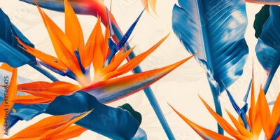 Papier peint  Strelitzia (Bird of Paradise) Exotic, bird-like flowers with bright orange and blue colors