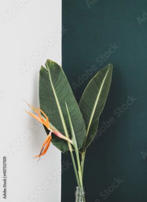 Papier peint  Strelitzia (bird of paradise flower) in a vase 