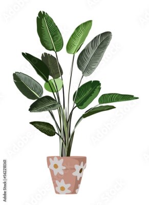 Papier peint  Strelitzia Bird of Paradise Indoor plant vector illustration. Realistic house plant in hand made pot. Exotic flower stems, leaves. Botanical element for interior design isolated on white background