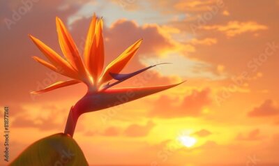 Papier peint  Strelitzia birds of paradise against a vivid sunset, Generative AI