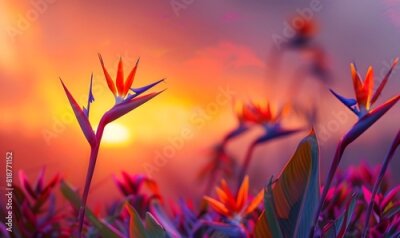 Papier peint  Strelitzia birds of paradise against a vivid sunset, Generative AI