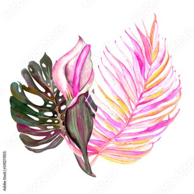 Papier peint  Strelitzia, calla lily, heliconia flower. Botanical watercolor illustration