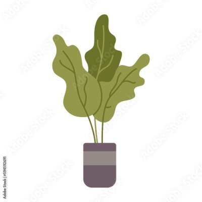 Papier peint  Strelitzia, cartoon style. House plants for home interior, urban jungle. Trendy modern vector illustration isolated on white, hand drawn, flat