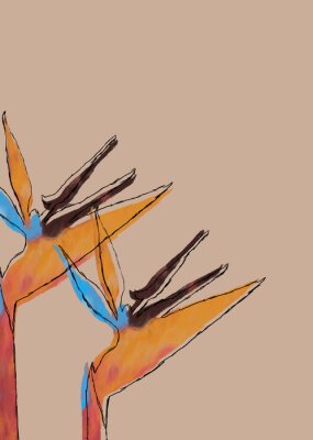 Papier peint  strelitzia duas hastes Ilustração digital abstrata com linhas feita a mão com fundo bege