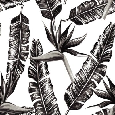 Papier peint  Strelitzia et banane feuilles noir et blanc sans soudure de fond