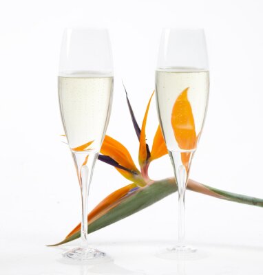 Papier peint  Strelitzia et champagne