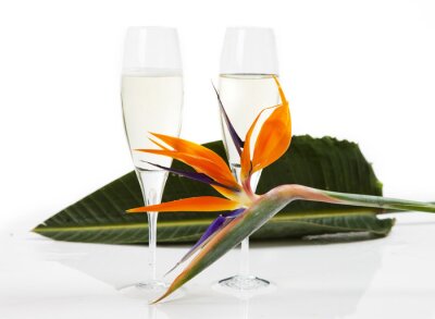 Papier peint  strelitzia et champagne