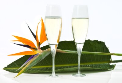 Papier peint  strelitzia et champagne