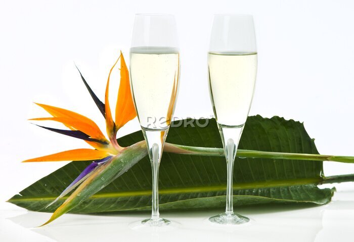 Papier peint  strelitzia et champagne