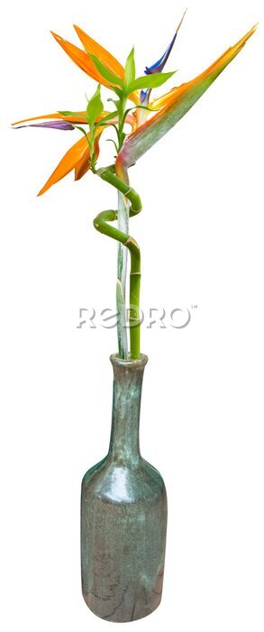 Papier peint  Strelitzia et lucky bambou enlacés dans un vase, fond blanc 