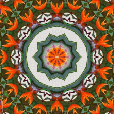 Papier peint  Strelitzia fleur exotique sur un fond de pierre