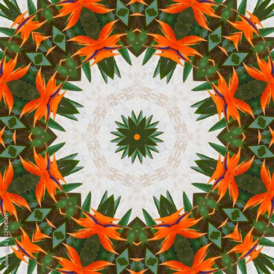 Papier peint  Strelitzia fleur exotique sur un fond de pierre