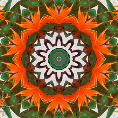 Papier peint  Strelitzia fleur exotique sur un fond de pierre