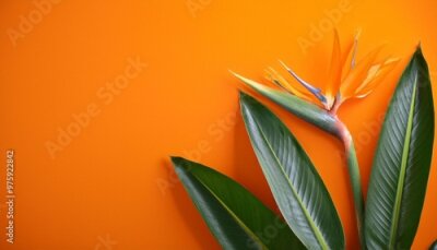 Papier peint  strelitzia flower and green palm fond on orange tropical background