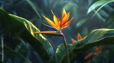 Papier peint  Strelitzia flower: Find calm amidst the chaos with its soothing beauty.