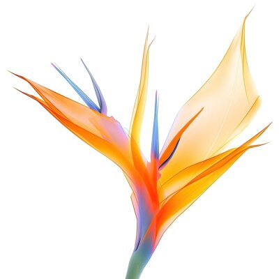 Papier peint  Strelitzia flower image mimicking an x-ray photo. Generative AI.