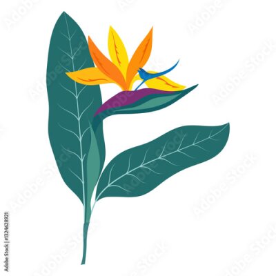 Papier peint  strelitzia flower isolated