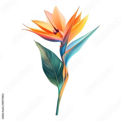 Papier peint  Strelitzia Flower Isolated on a Transparent Background, Showcasing Its Vibrant Colors and Unique Structure as a Stunning Symbol of Exotic Beauty