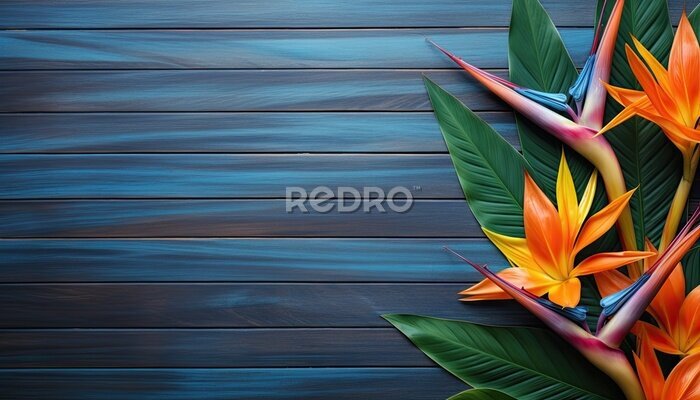 Papier peint  Strelitzia flower on blue wooden background with copy space.