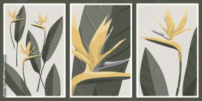 Papier peint  Strelitzia flower wall art vector set.  For wall art, poster, wallpaper, print. 