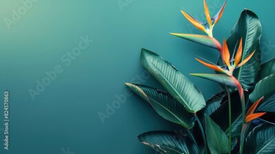 Papier peint  Strelitzia, flower with empty copy space, solid background