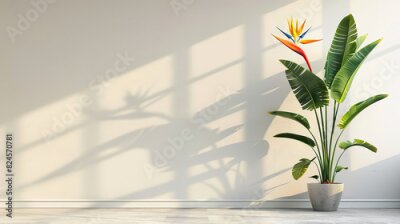 Papier peint  Strelitzia, flower with empty copy space, solid background