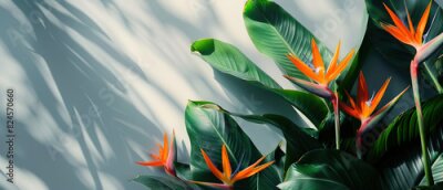 Papier peint  Strelitzia, flower with empty copy space, solid background