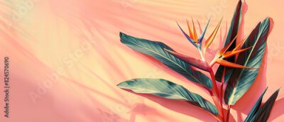 Papier peint  Strelitzia, flower with empty copy space, solid background