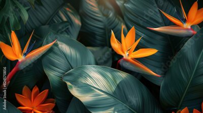 Papier peint  Strelitzia, flower with empty copy space, solid background