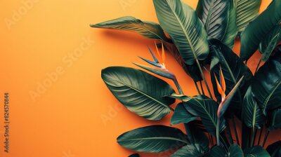Papier peint  Strelitzia, flower with empty copy space, solid background