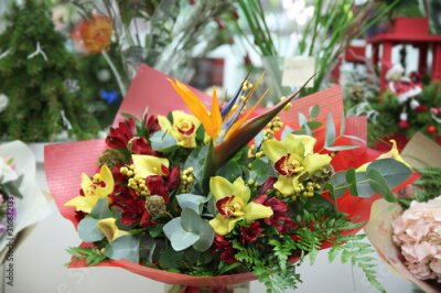 Papier peint  Strelitzia flower, yellow orchids in a beautiful bouquet