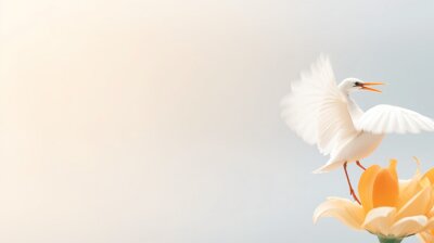 Papier peint  Strelitzia flowers