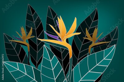Papier peint  Strelitzia flowers and leaves, on a dark green background