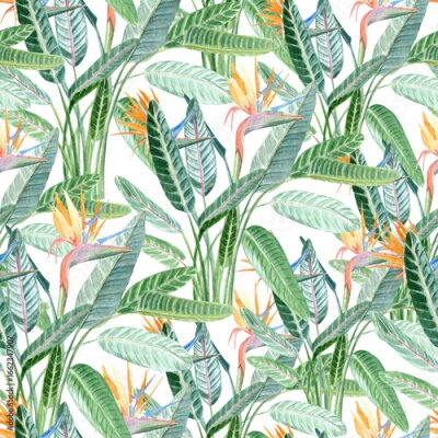 Papier peint  Strelitzia flowers and lush green leaves seamless watercolor tropical pattern on white background. Bright and exotic design ideal for fabric, wallpaper, wrapping paper, and summer-themed decorative