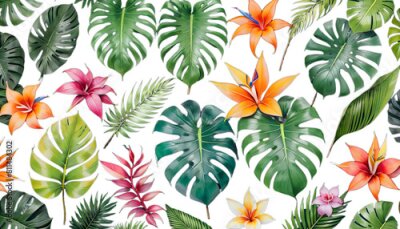 Papier peint  strelitzia flowers anthurium jungle branches bright palm watercolor monstera leaves leaf orchid tropical grass liconia set floral foliage isolated banana wedding exotic vintage greenery graphic