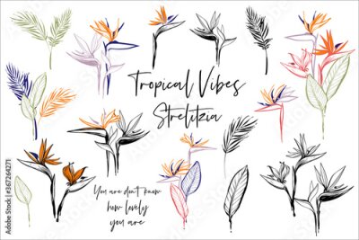 Papier peint  Strelitzia flowers, banana palm leaves, text quote print. Tropic outline floral illustrations. Tropical collection. Sketch in watercolor style. Hand drawn line on white background