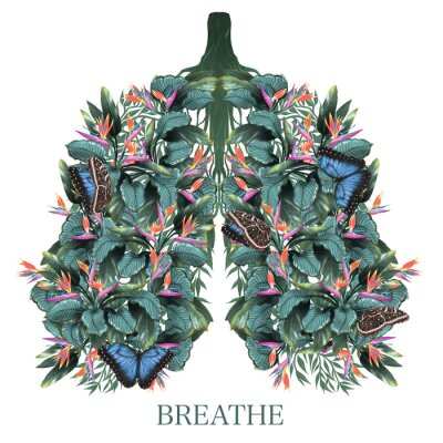 Papier peint  Strelitzia Flowers. Summer bouquet. Lungs art. Just breathe.