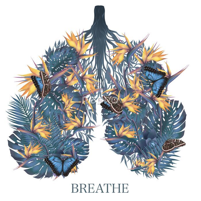 Papier peint  Strelitzia flowers. Summer bouquet. Lungs art. Just breathe.