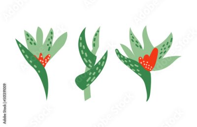 Papier peint  Strelitzia flowers vector illustration. Exotic tropical florals on isolated background. Flat modern trendy style.